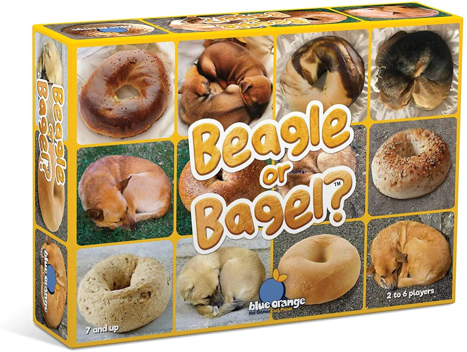 Beagle Or Bagel Game